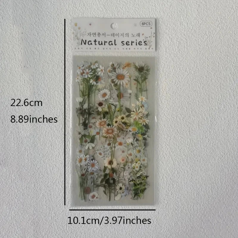 Transparent Floral PET Stickers Set for Scrapbooking