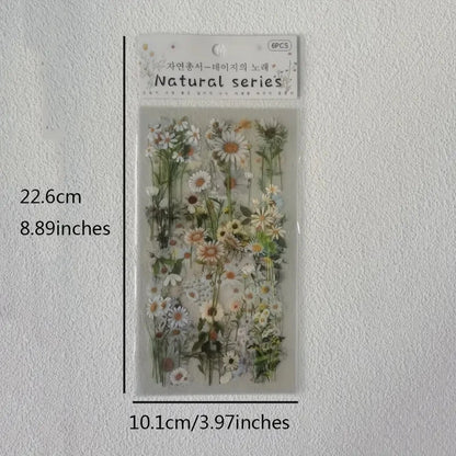 Transparent Floral PET Stickers Set for Scrapbooking