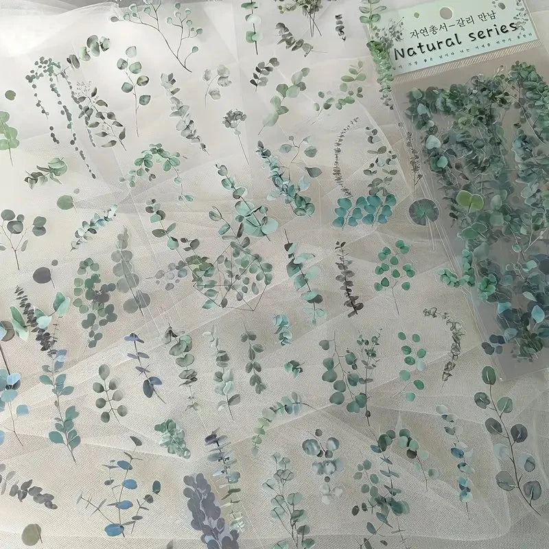 Transparent Floral PET Stickers Set for Scrapbooking