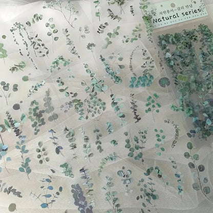 Transparent Floral PET Stickers Set for Scrapbooking